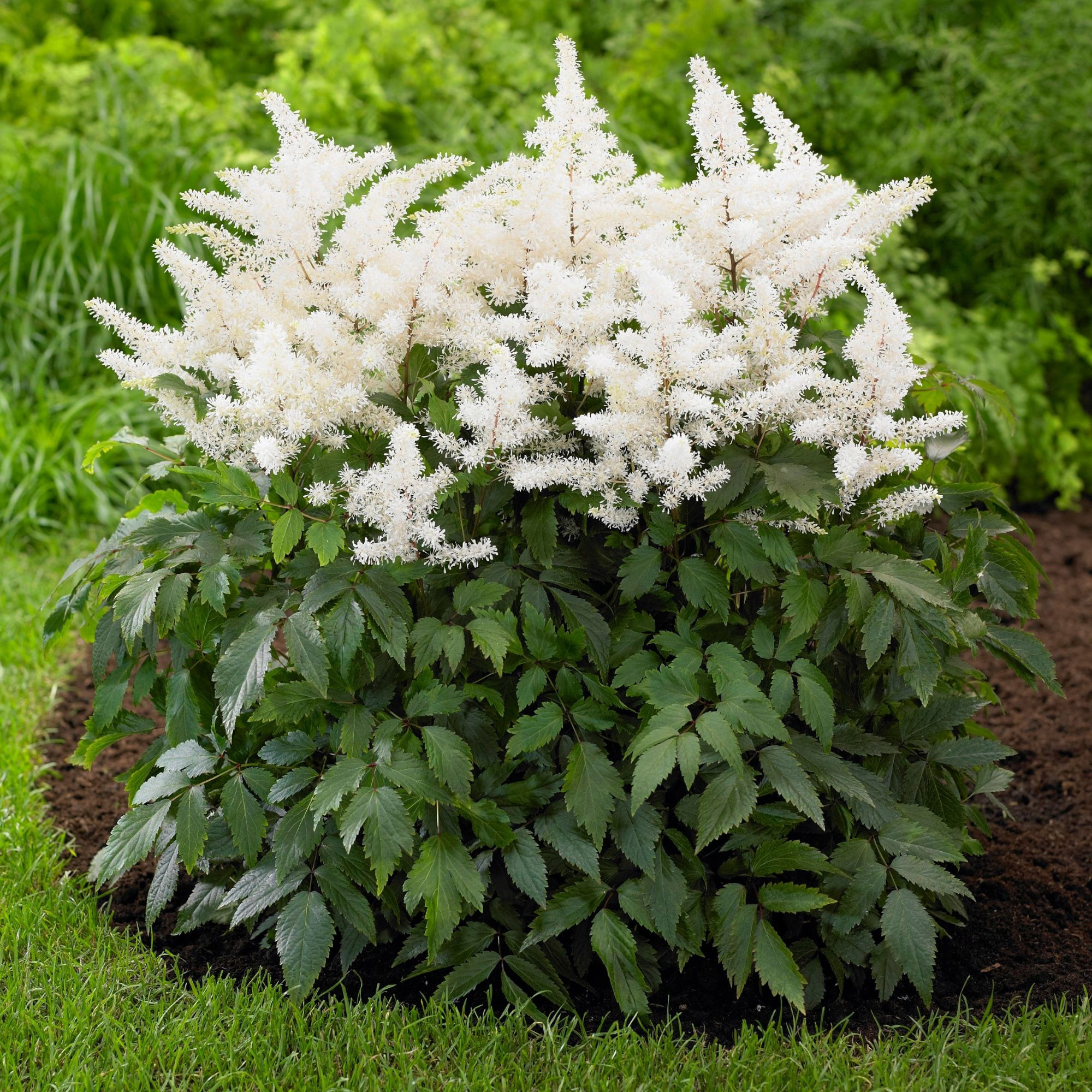 Enlarge Product Preview 16 Successfully Enriched by automation Job.