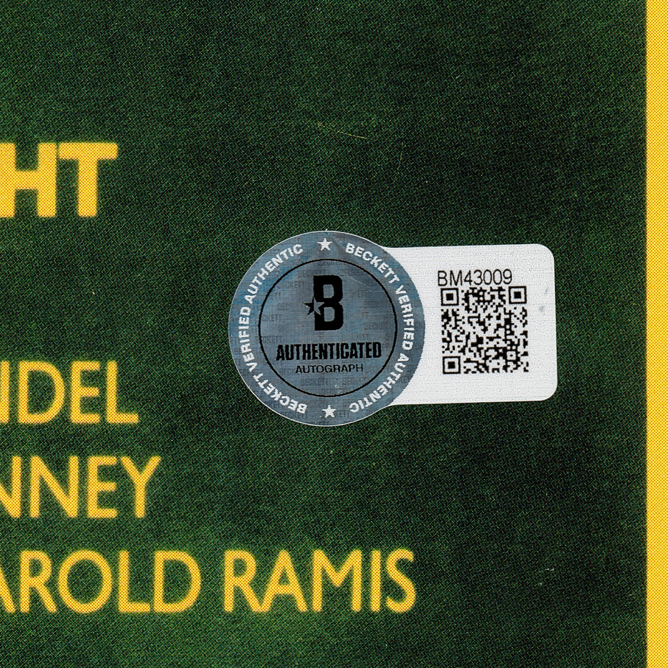 Enlarge Product Preview 4 Successfully Enriched by automation Job.