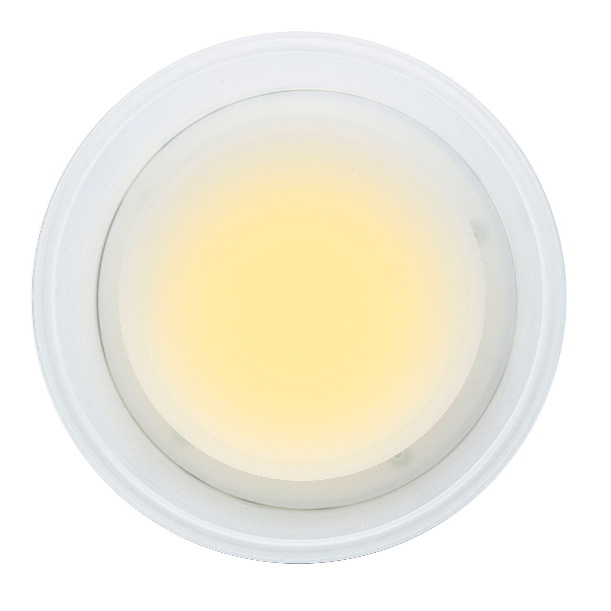 Enlarge Product Preview 8 Successfully Enriched by automation Job.