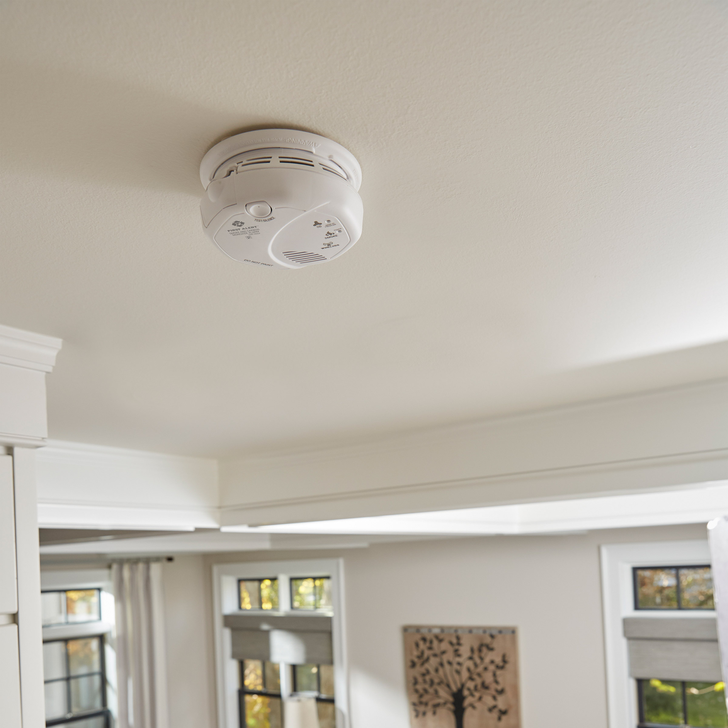 Enlarge Product Preview 4