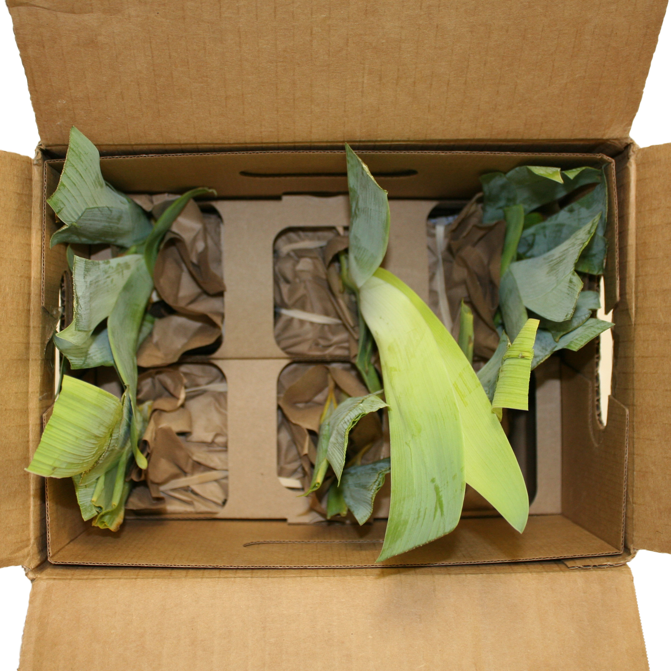 Enlarge Product Preview 6