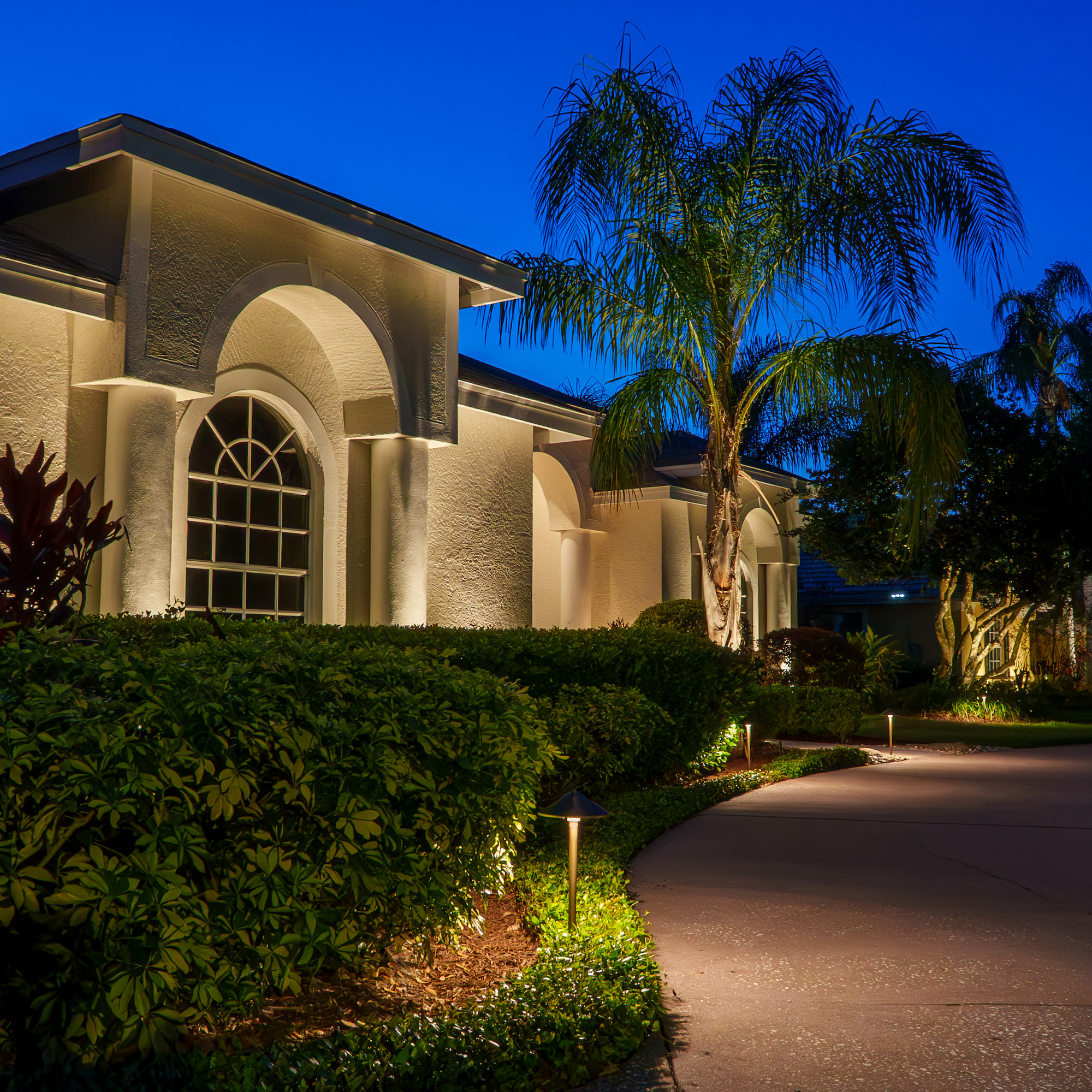 Enlarge Product Preview 6 Successfully Enriched by automation Job.