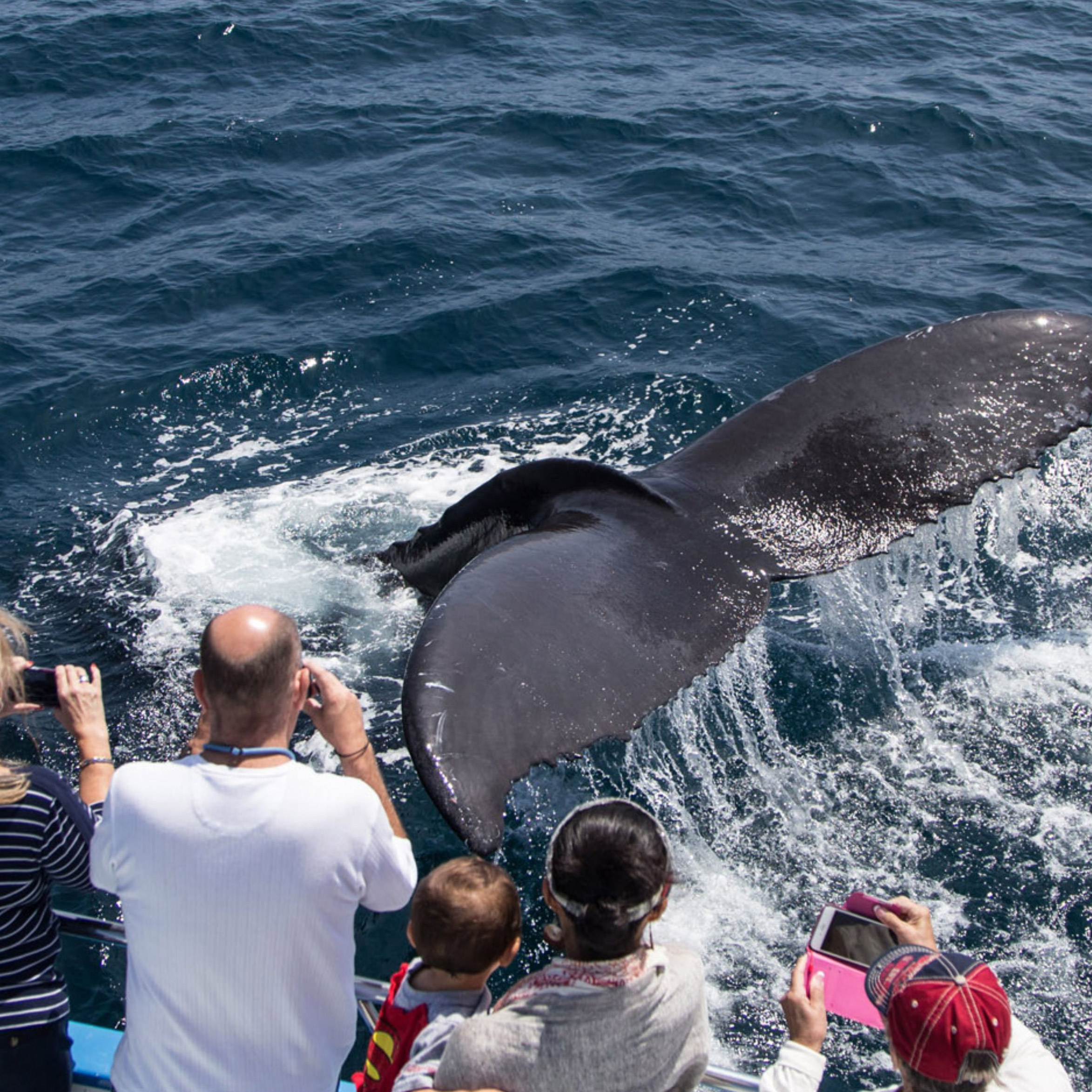 Enlarge Product Preview 6 Successfully Enriched by automation Job.