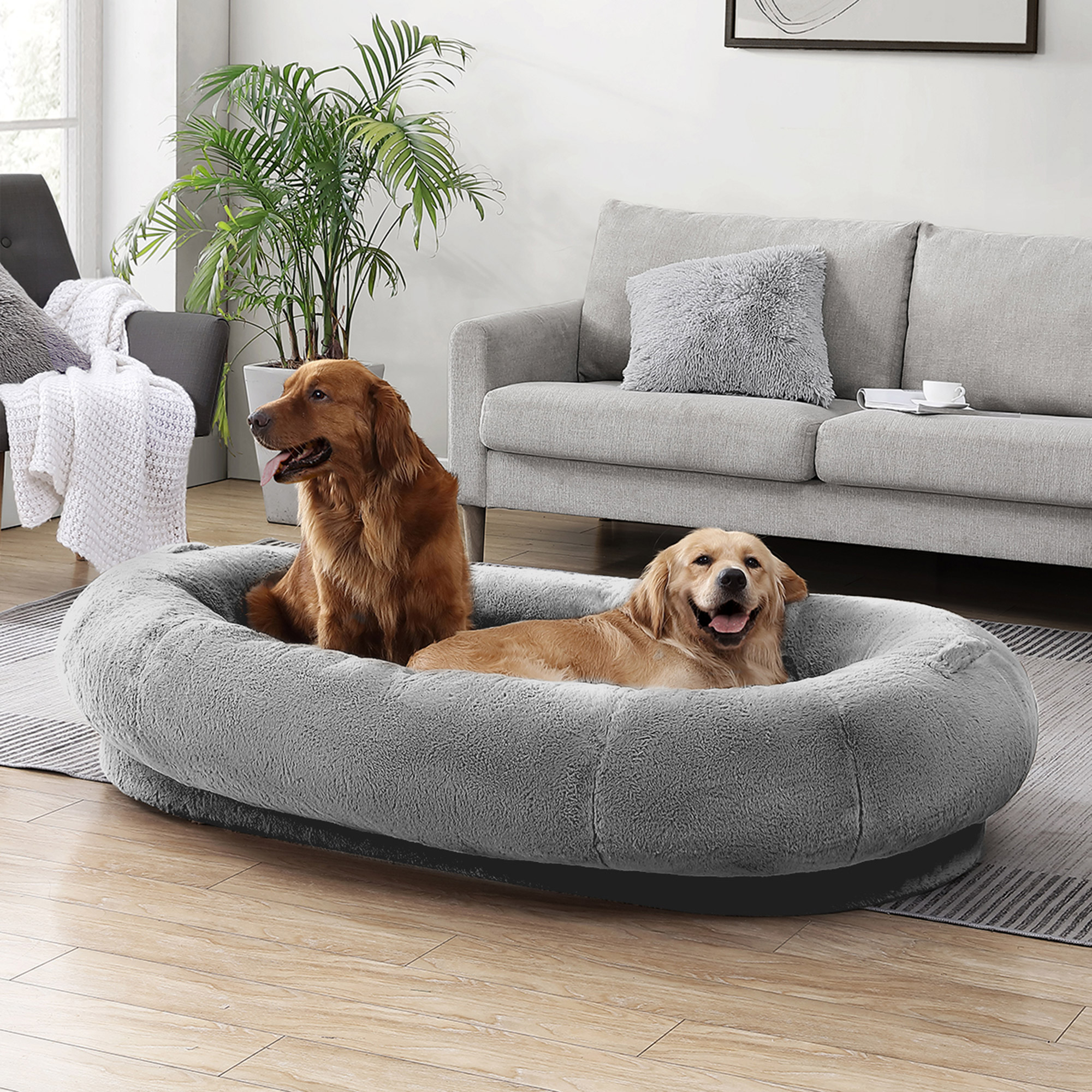 Canine Creations Cama De Perro Costco Kirkland Orthopedic Dog Bed