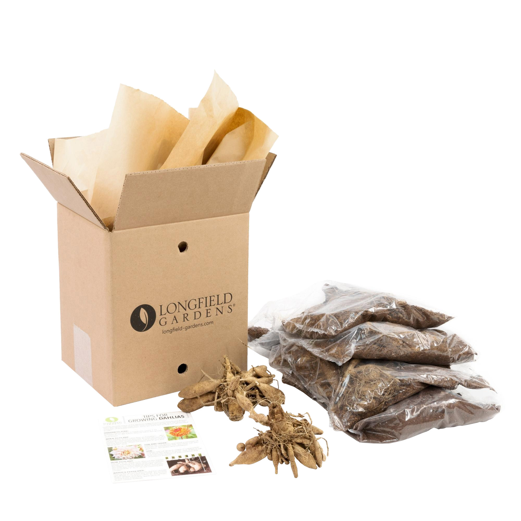 Enlarge Product Preview 6