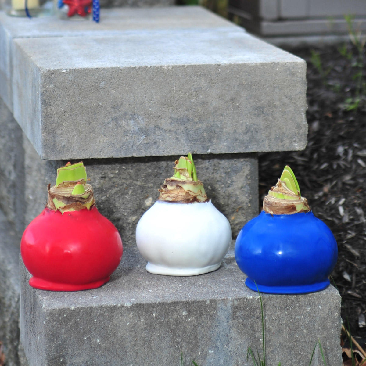 Enlarge Product Preview 5