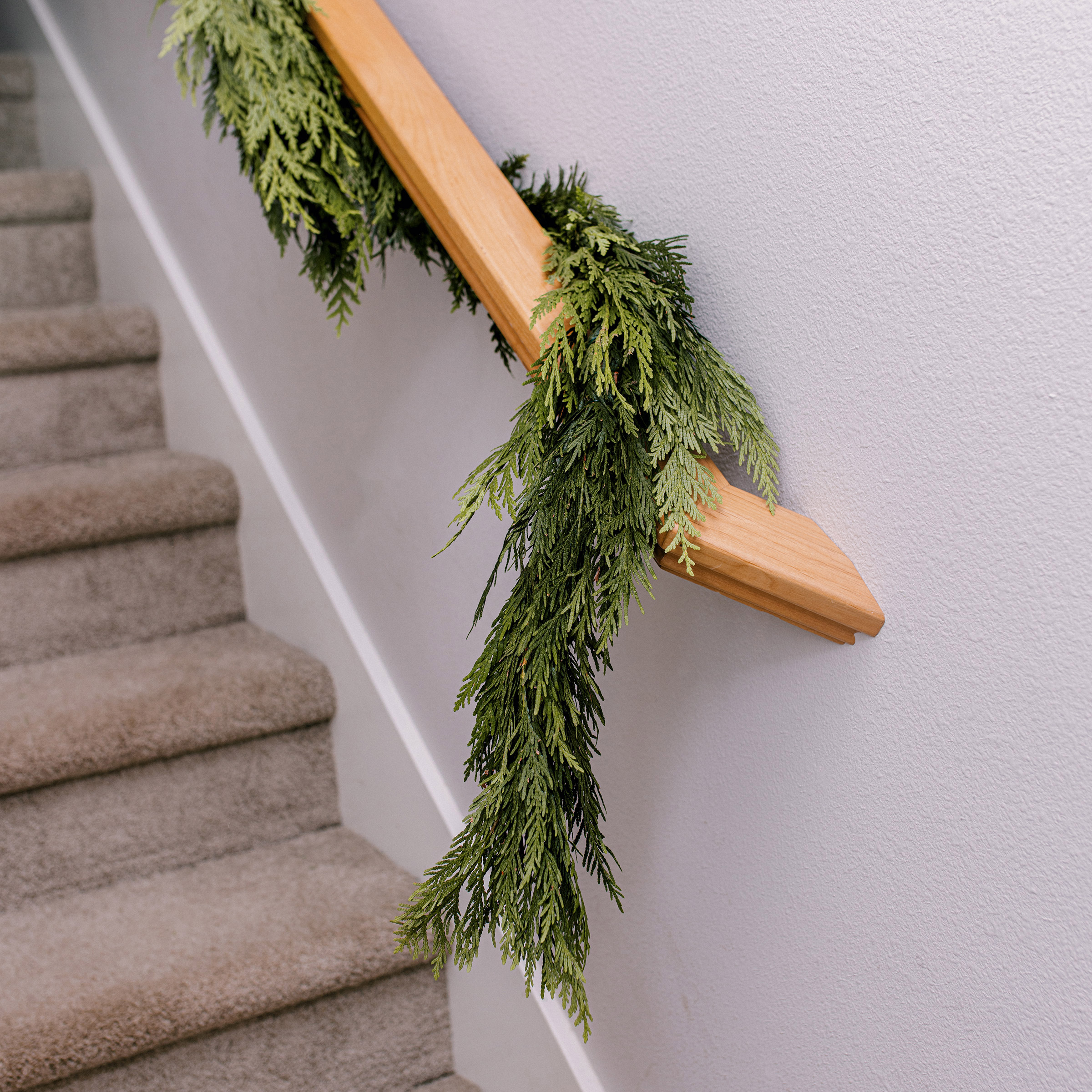 Enlarge Product Preview 2