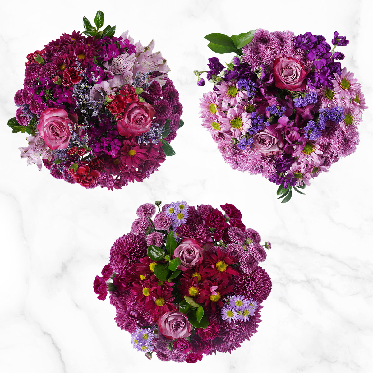 Mountain Bouquet Event Collection  10-count