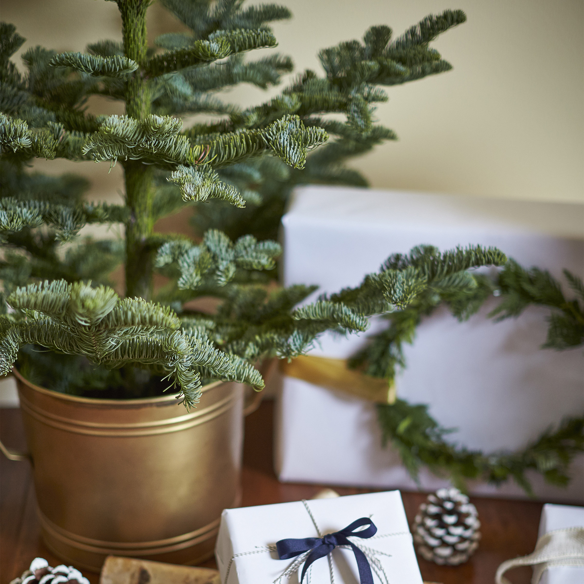 Enlarge Product Preview 2