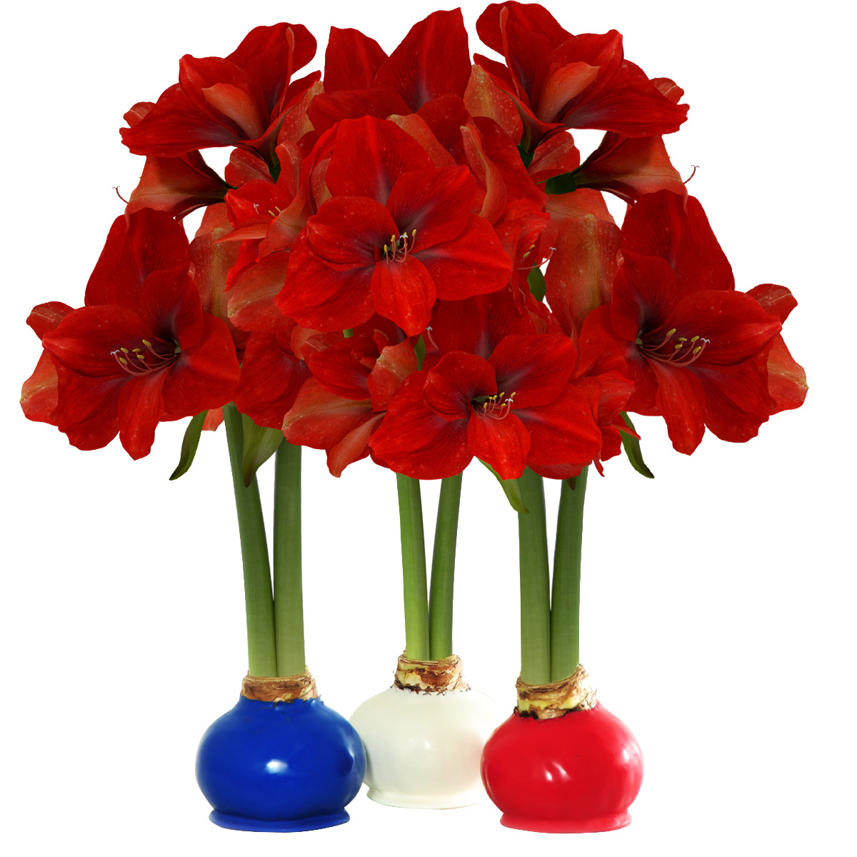 Enlarge Product Preview 4