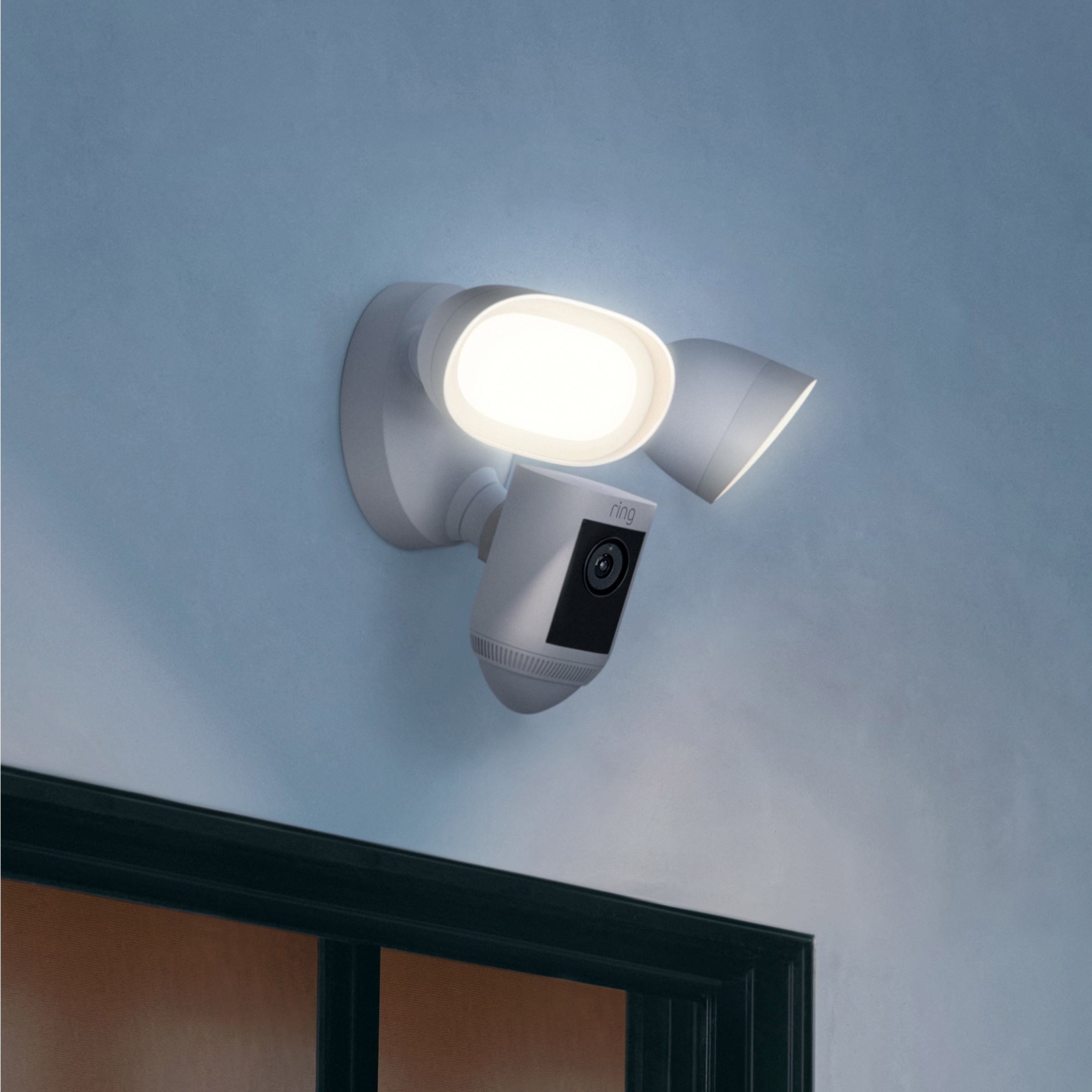 Enlarge Product Preview 2 Successfully Enriched by automation Job.