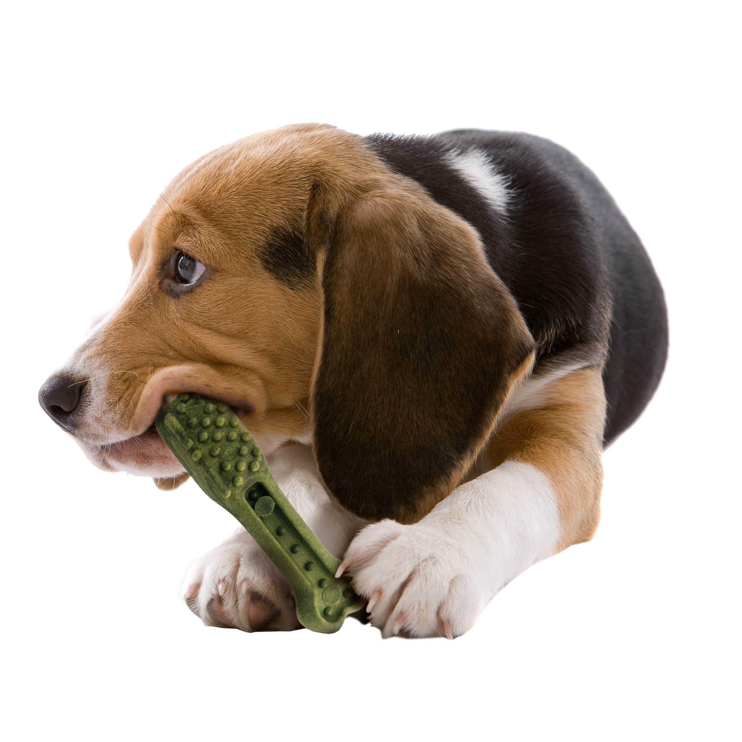 Enlarge Product Preview 6