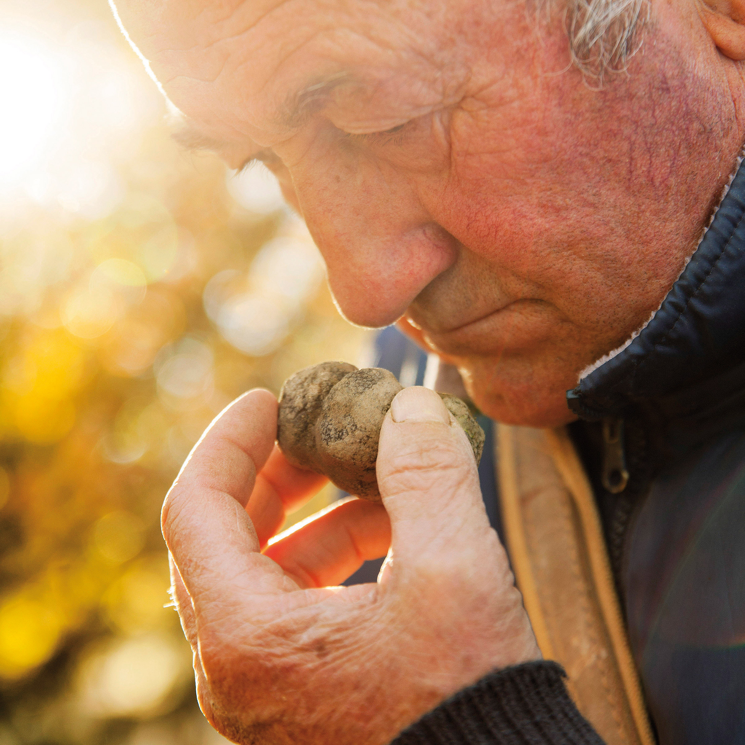 Enlarge Product Preview 6