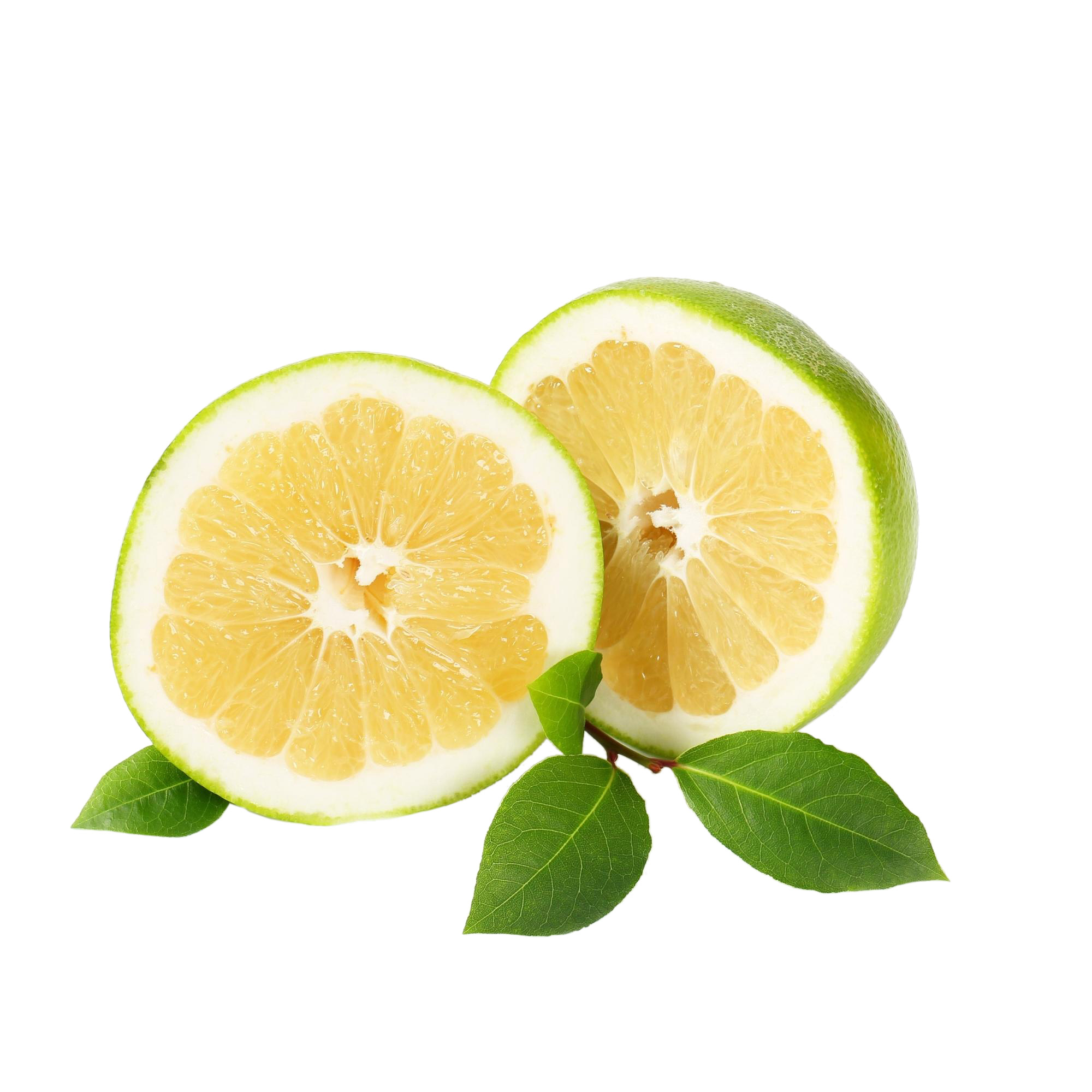 Enlarge Product Preview 3