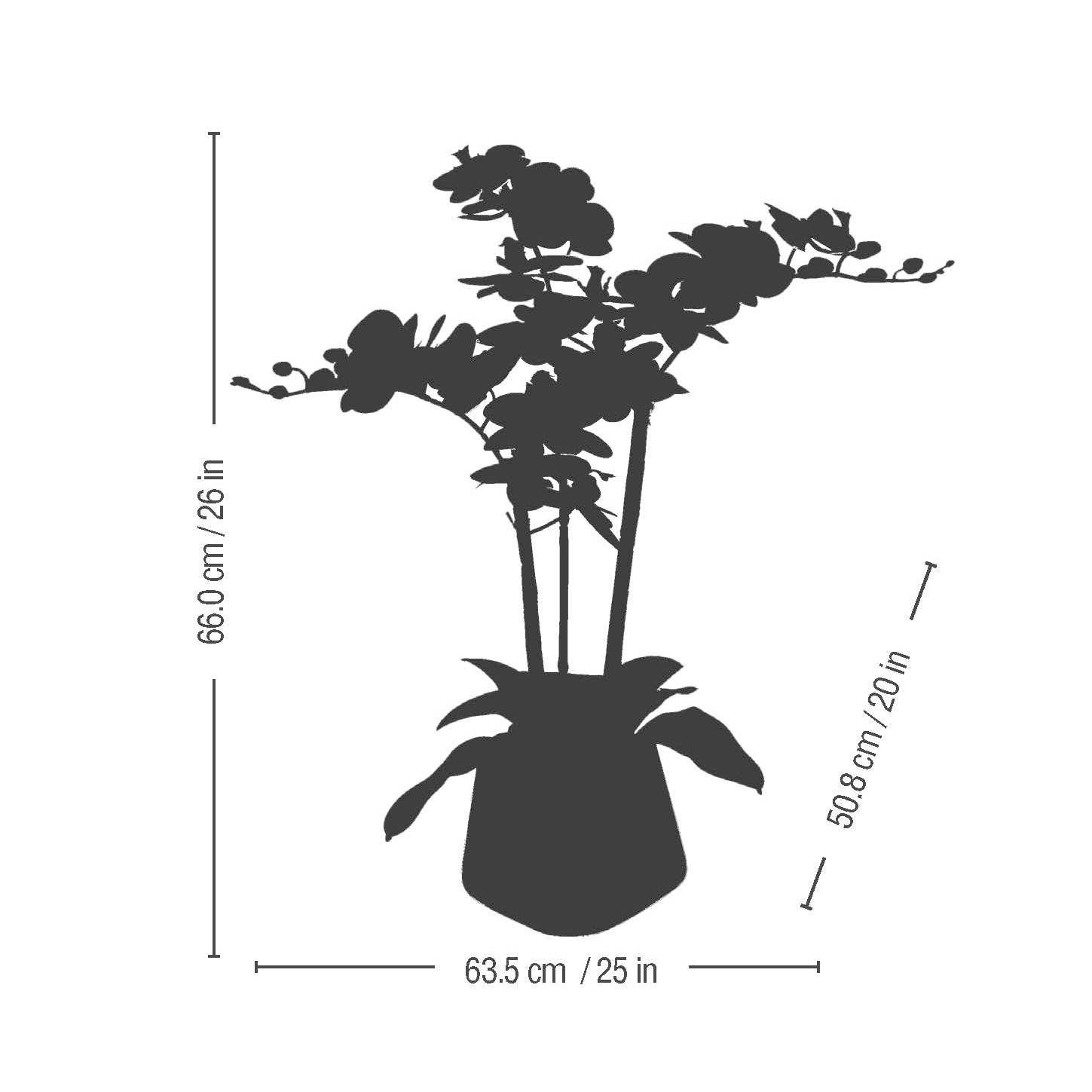 Enlarge Product Preview 5