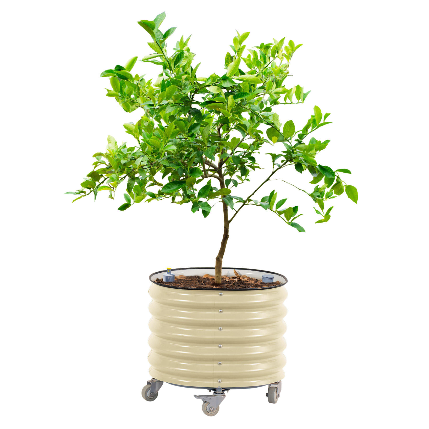 Self Irrigating Planters | Costco