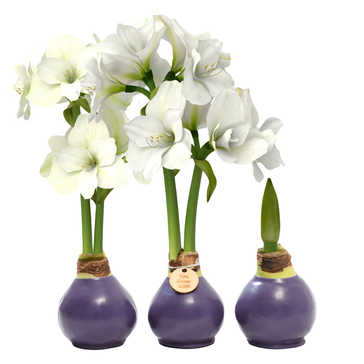 Enlarge Product Preview 2