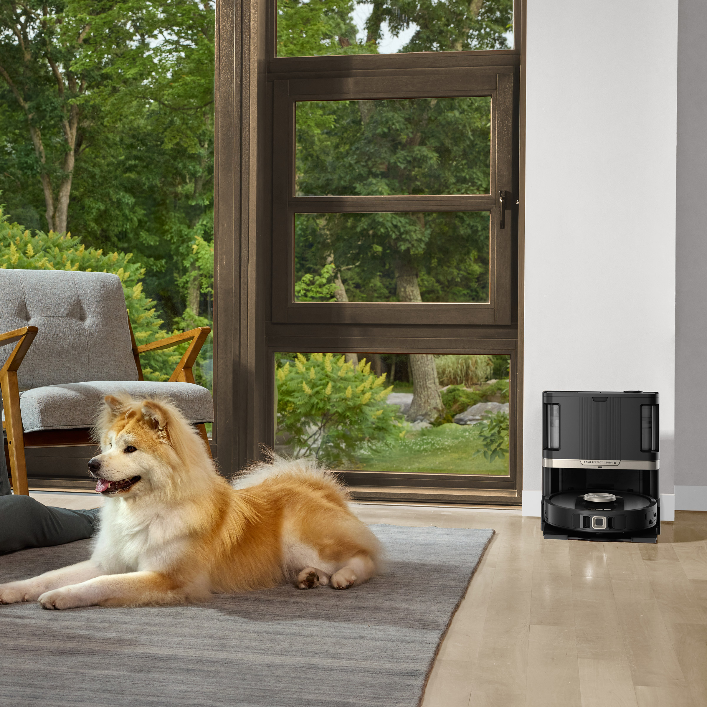 Enlarge Product Preview 2 Successfully Enriched by automation Job.