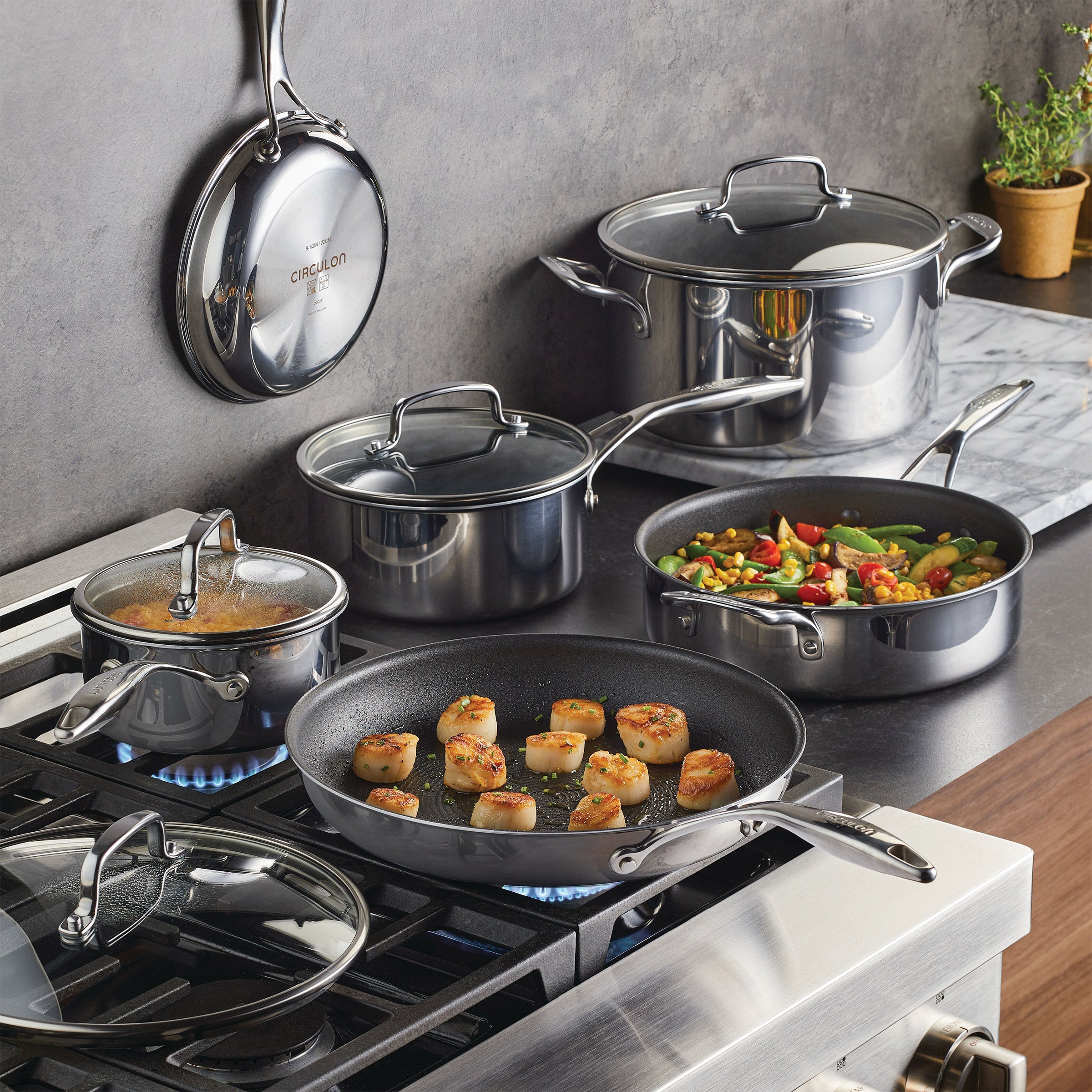 1835408-847__1?auto=webp&