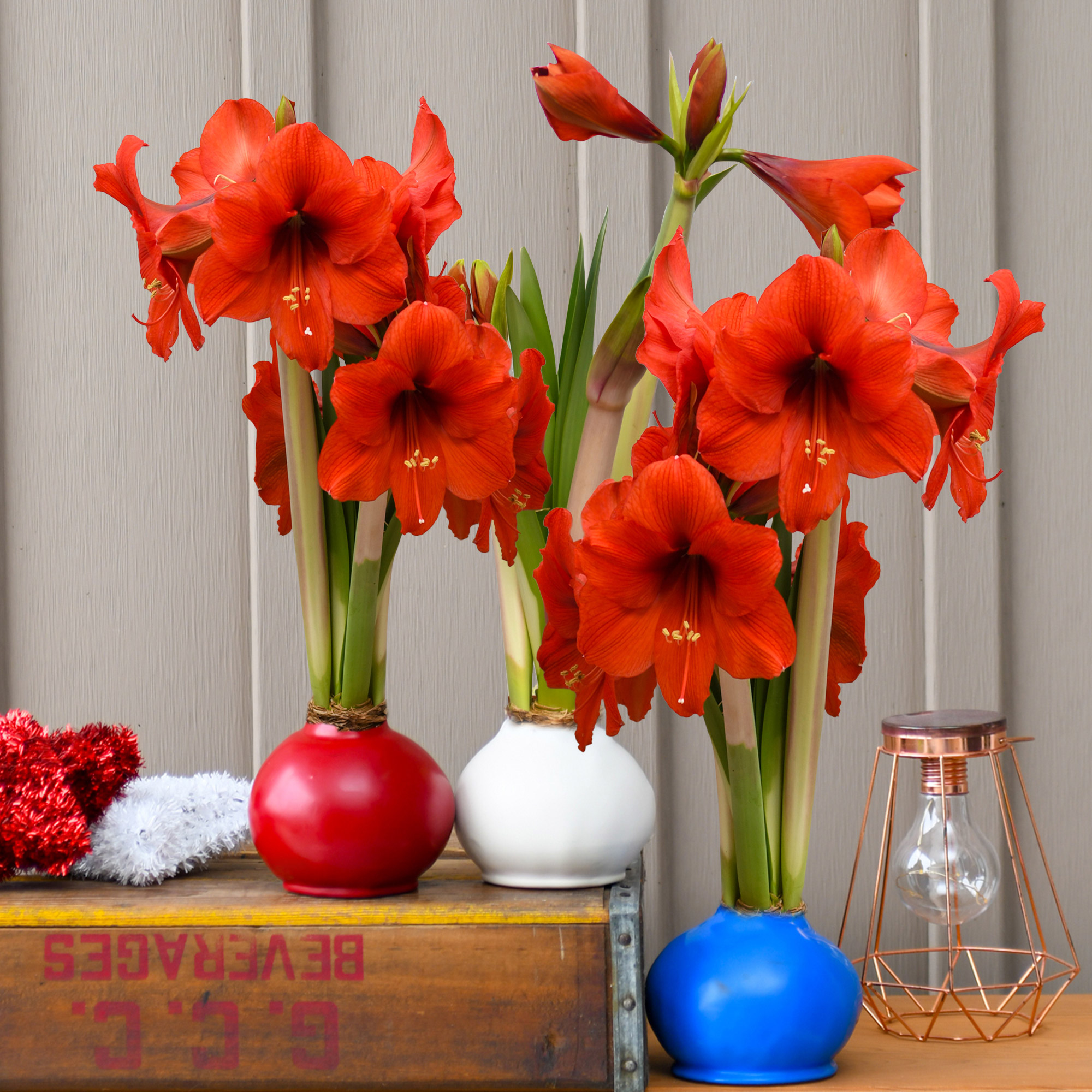 Enlarge Product Preview 2 Successfully Enriched by automation Job.