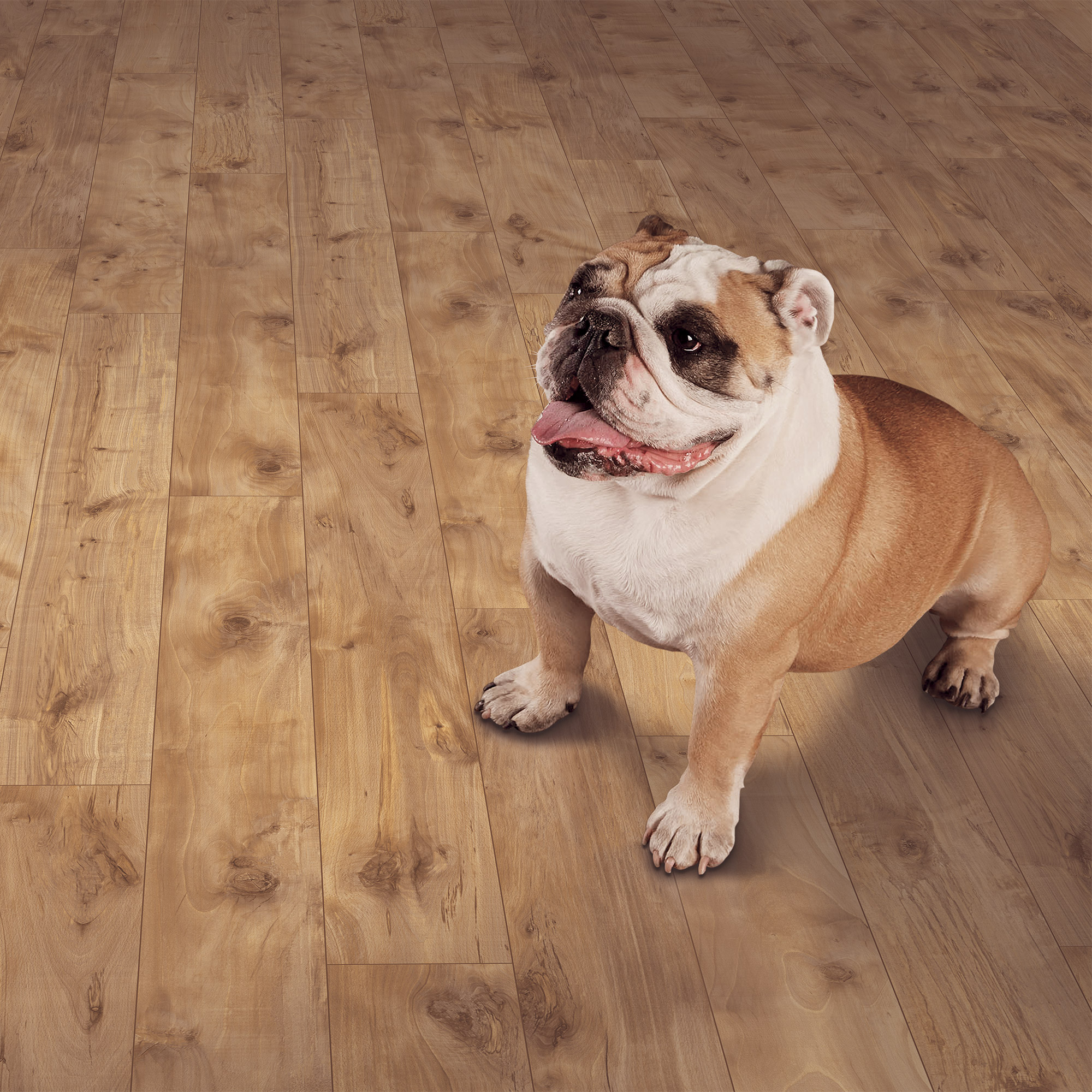 Enlarge Product Preview 2