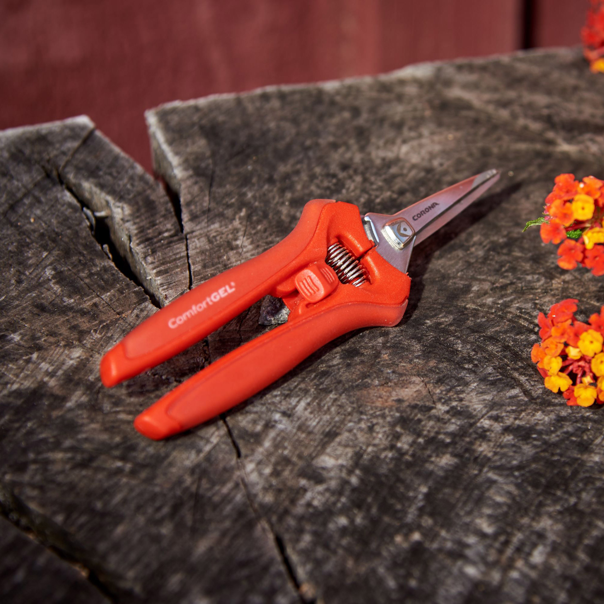 Enlarge Product Preview 4