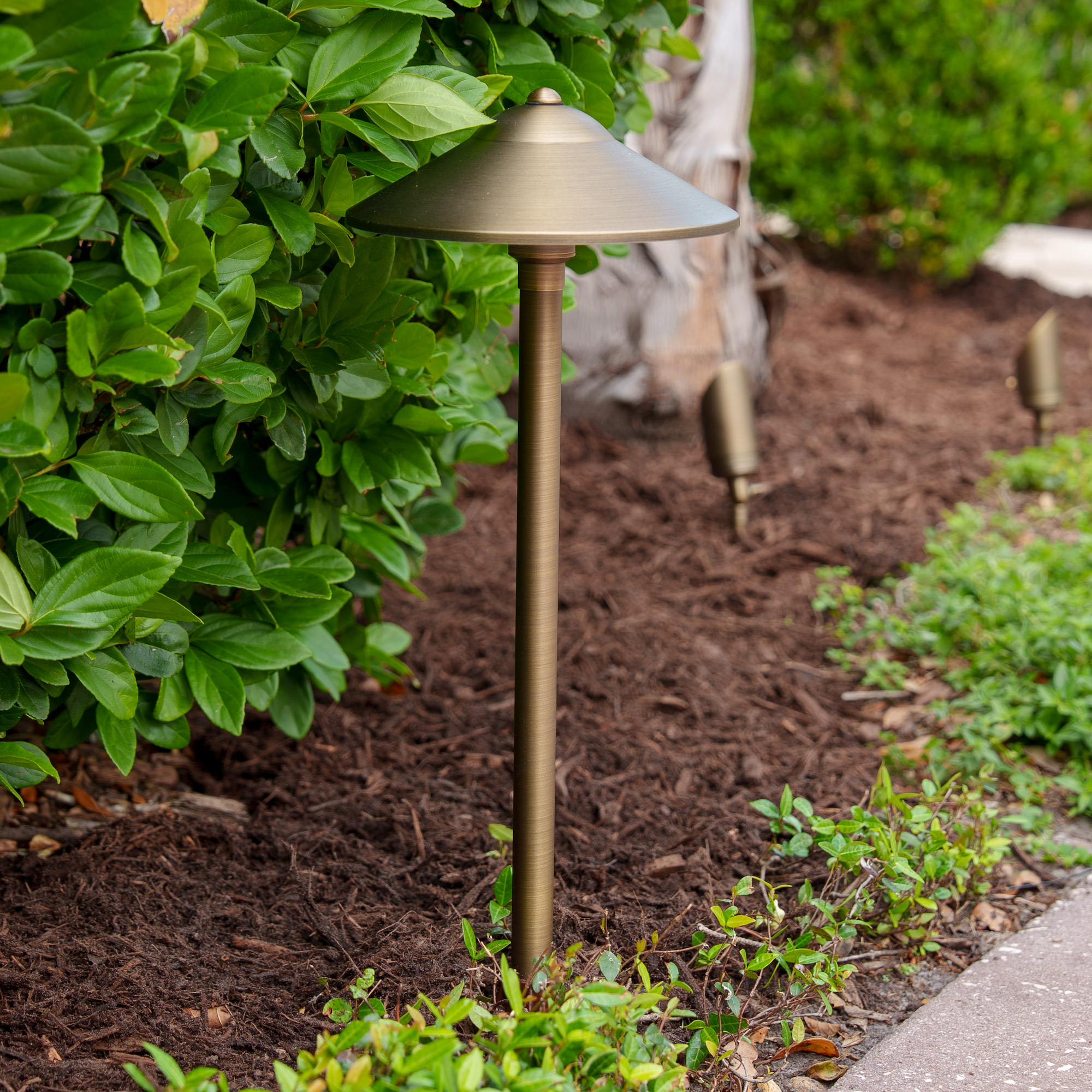 Enlarge Product Preview 5 Successfully Enriched by automation Job.