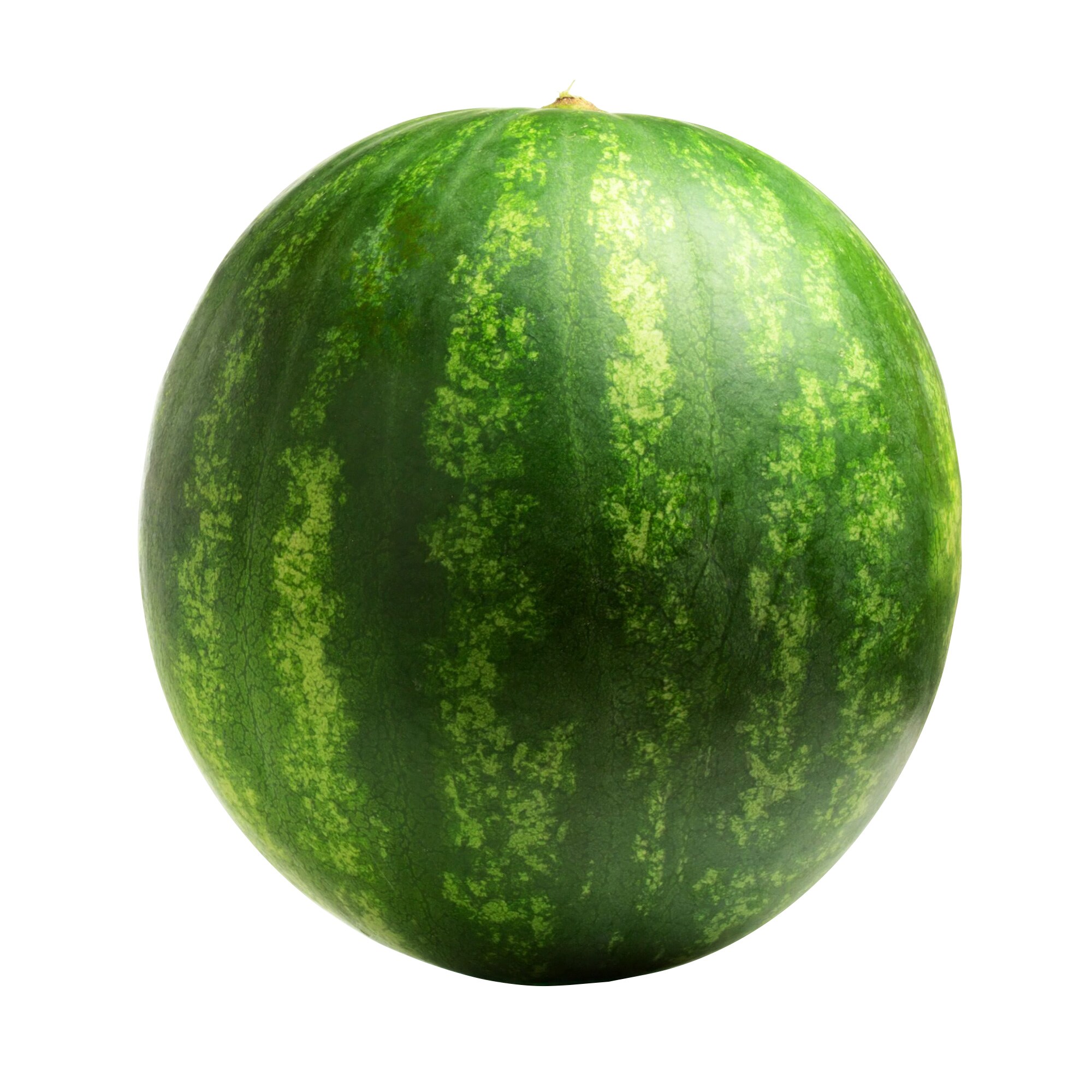 Seedless Watermelon