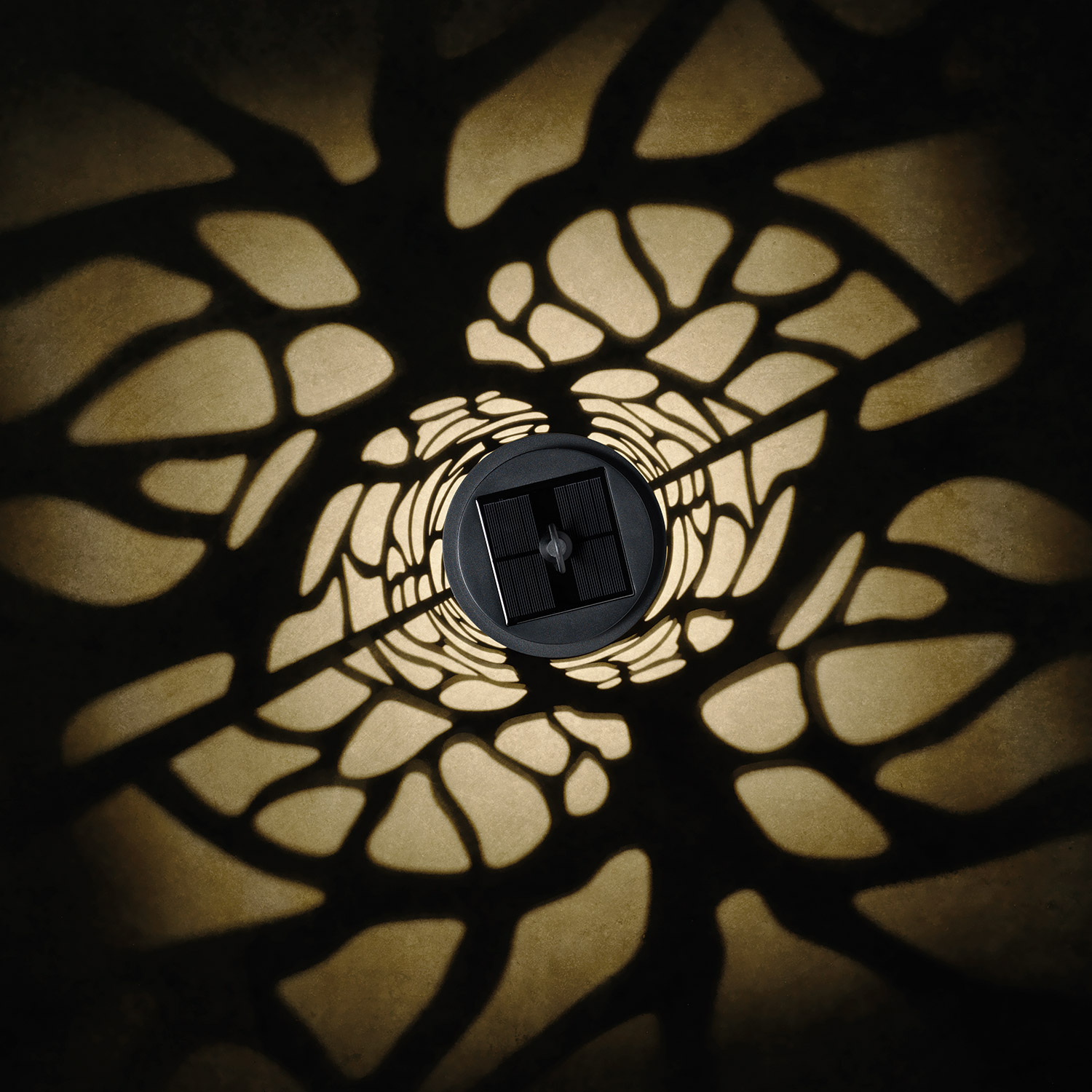 Enlarge Product Preview 5