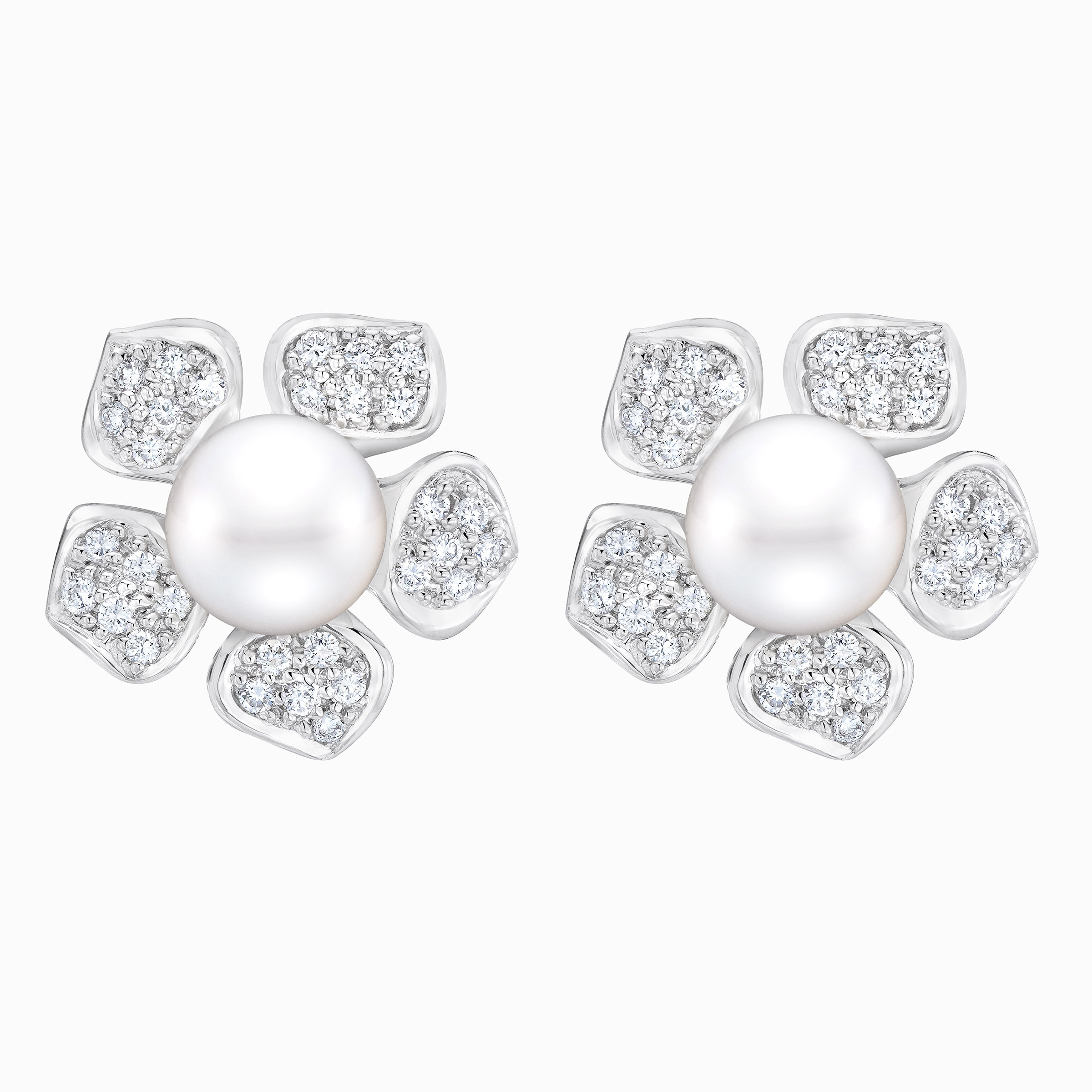 Enlarge Product Preview 2