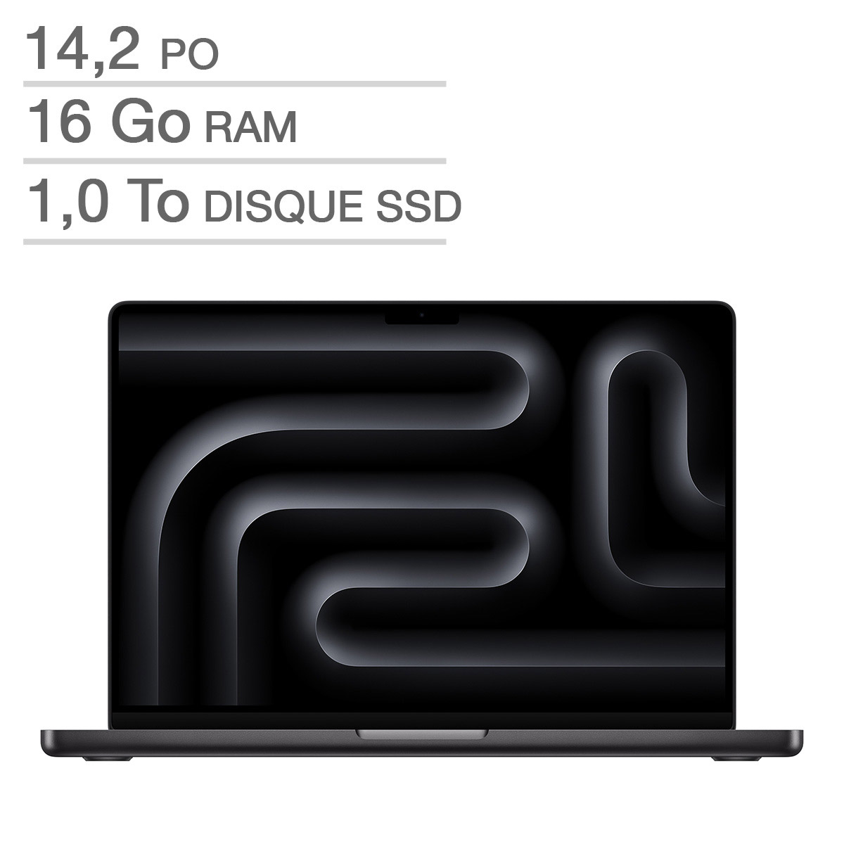 Apple MacBook Pro 14.2 in., Apple M4 Chip - 16 GB RAM, 1 TB SSD