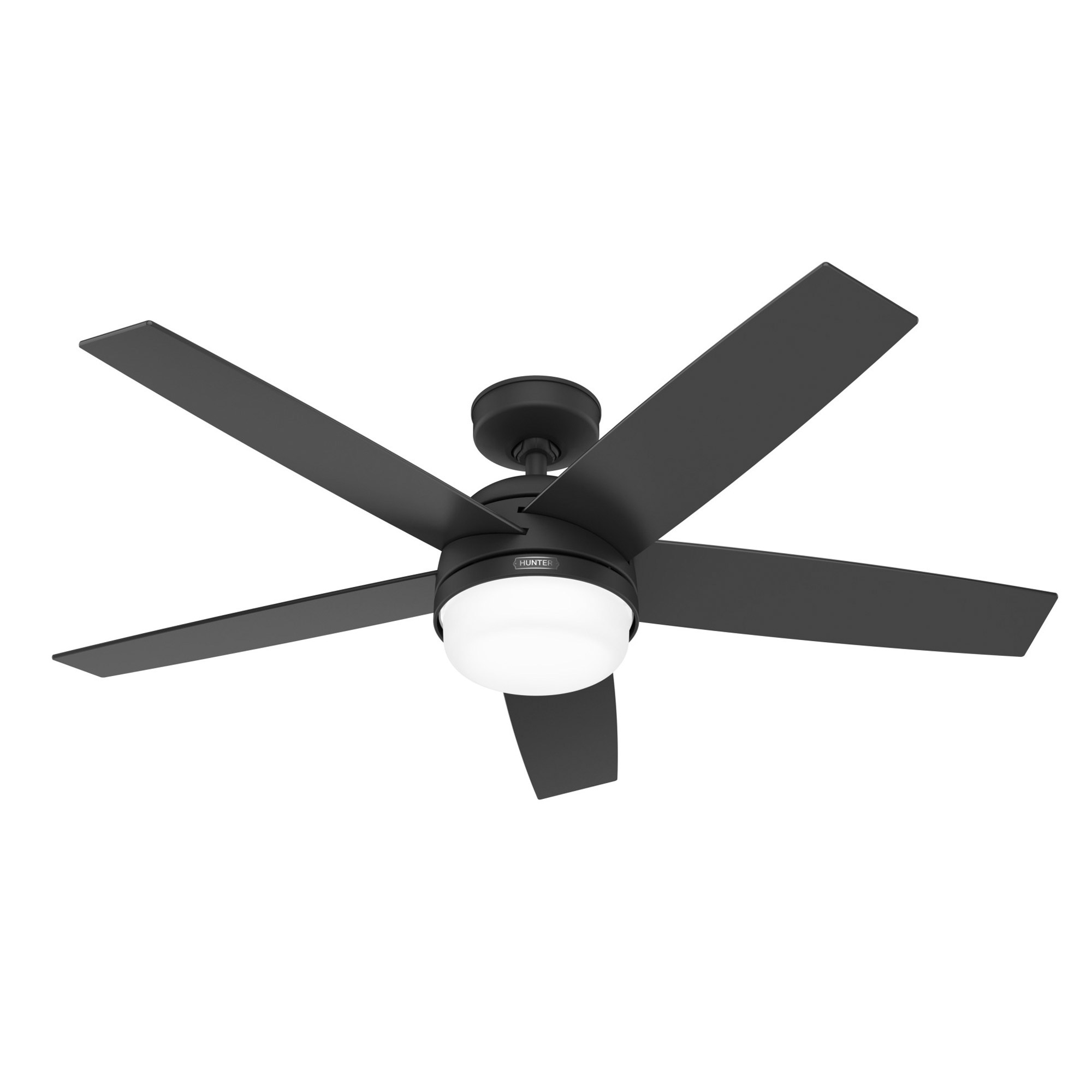 Hunter - Ventilateur de plafond de 132 cm (52 po) Asheville - intérieur / extérieur ventilateur