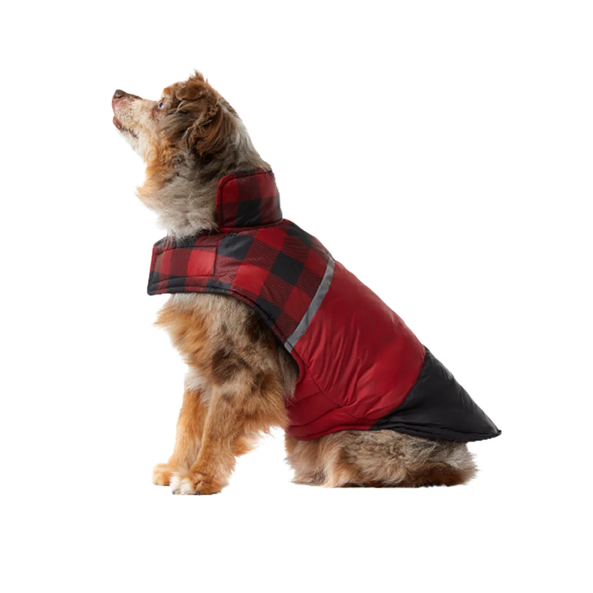 32 Degrees Dog Jacket