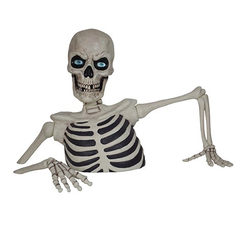 Halloween | Costco