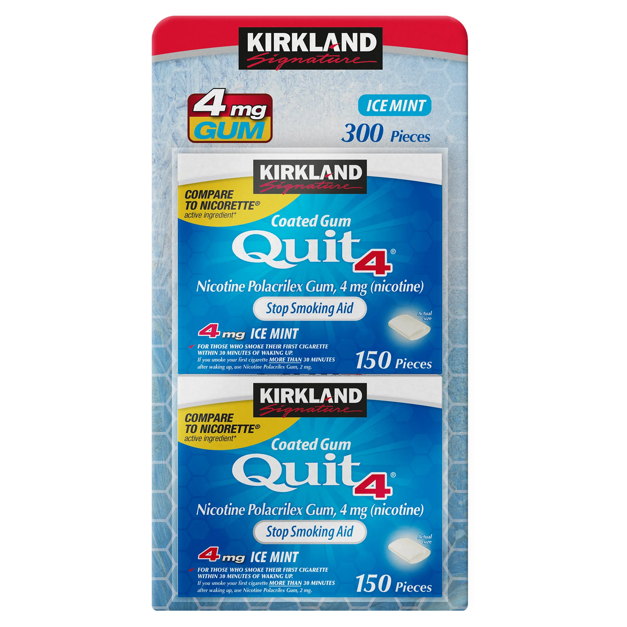 Kirkland Signature Quit Ice Mint Gum