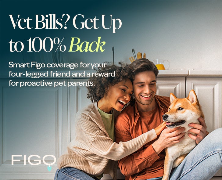 Vet Bills? Get up to 100% Back. Smart Figo Coverage for your four-legged friend and a reward for proactive pet parents.